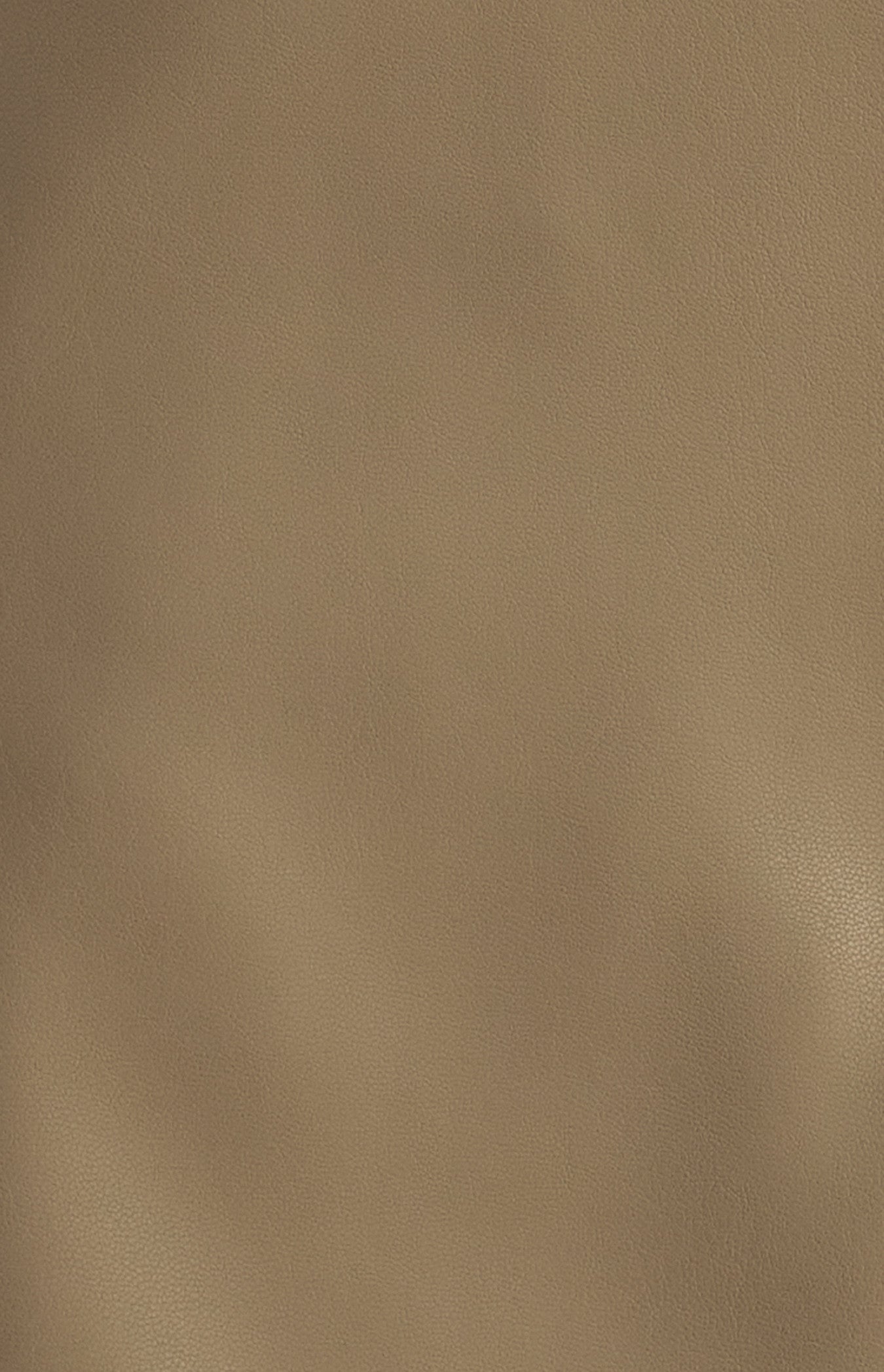 Saskia Faux Leather Mini Skirt